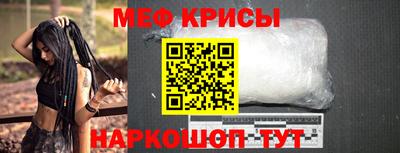 индика Кингисепп