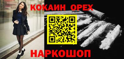 индика Кингисепп