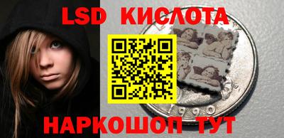 индика Кингисепп