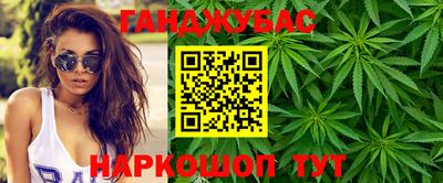 индика Кингисепп