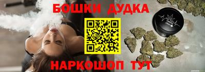 индика Кингисепп