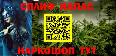 индика Кингисепп