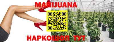 прущие грибы Конаково