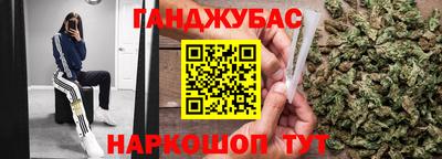 индика Кингисепп