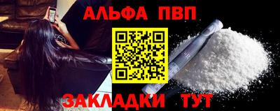 индика Кингисепп
