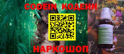 индика Кингисепп