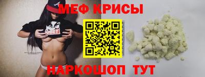 индика Кингисепп